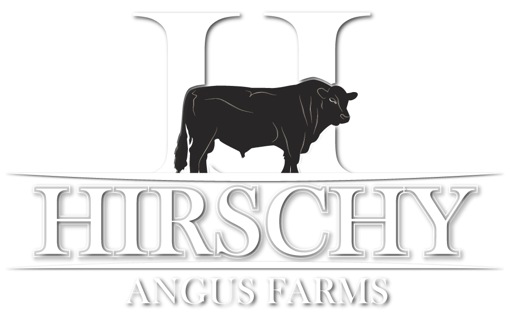 hirschy Angus Farms